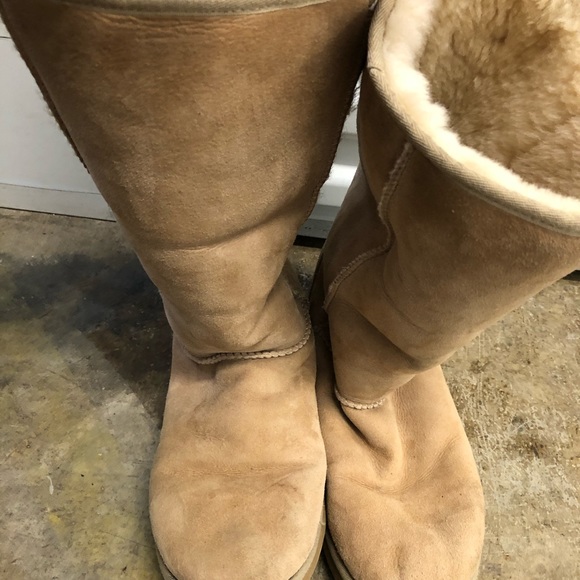 Tall Ugg boots (size 11). - Picture 2 of 3